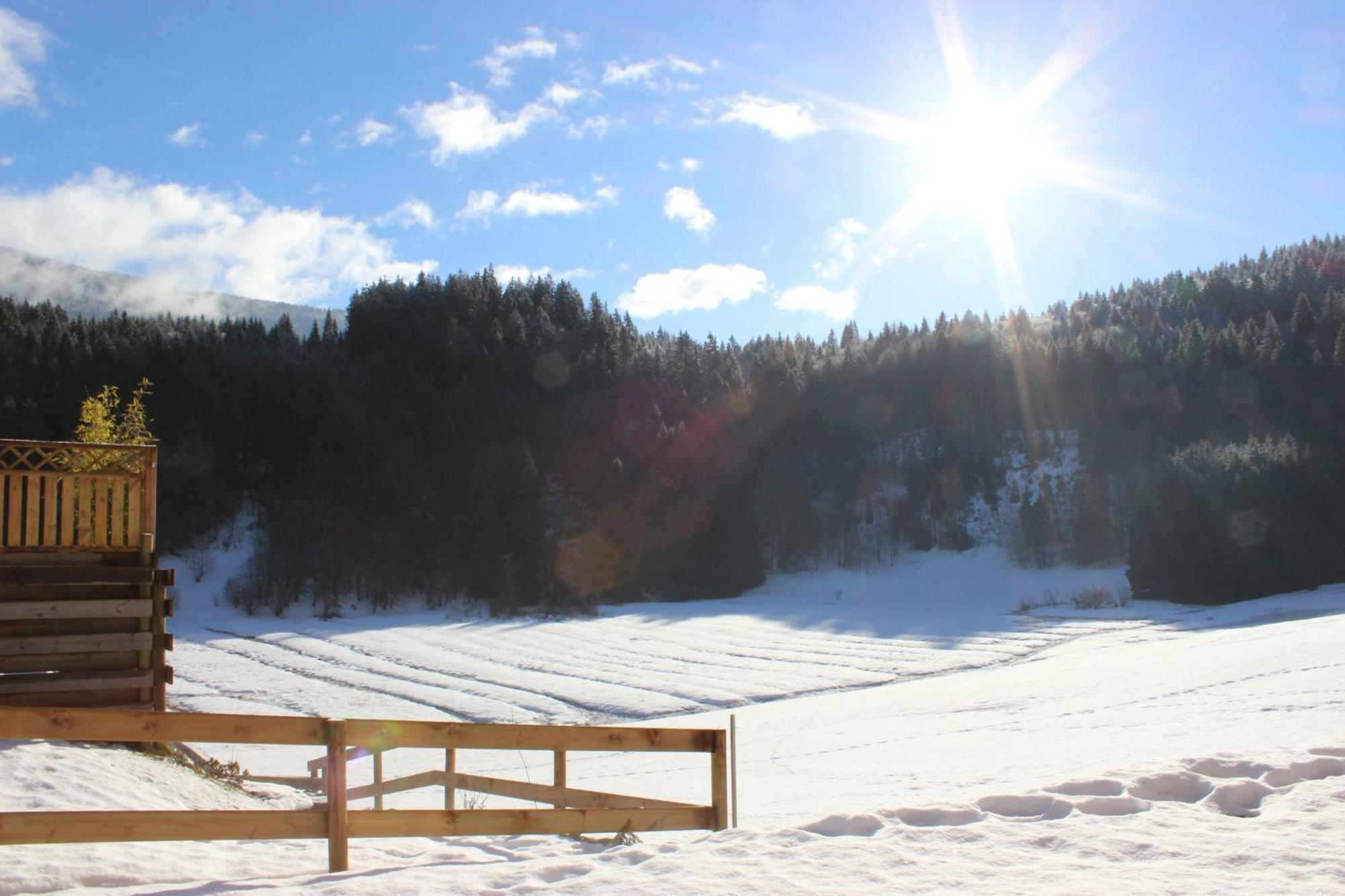 Le Chalet D'Ulysse Arâches Dış mekan fotoğraf