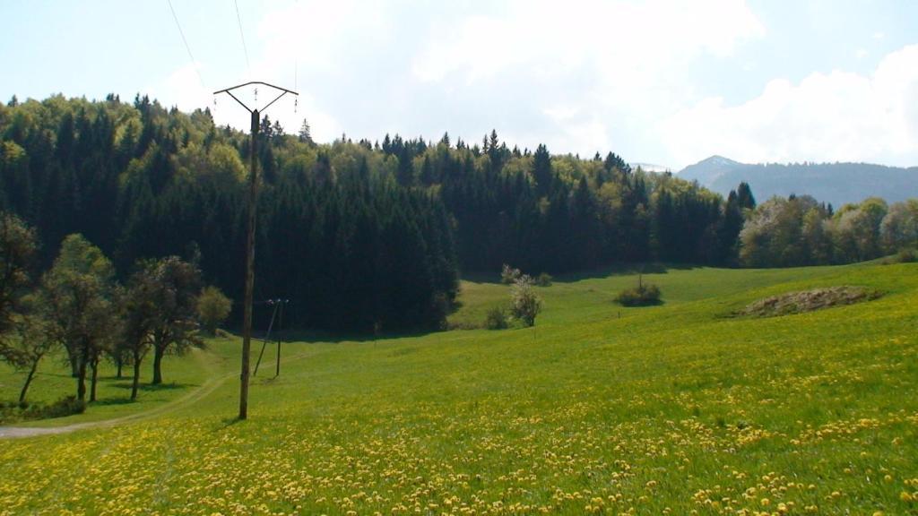 Le Chalet D'Ulysse Arâches Dış mekan fotoğraf