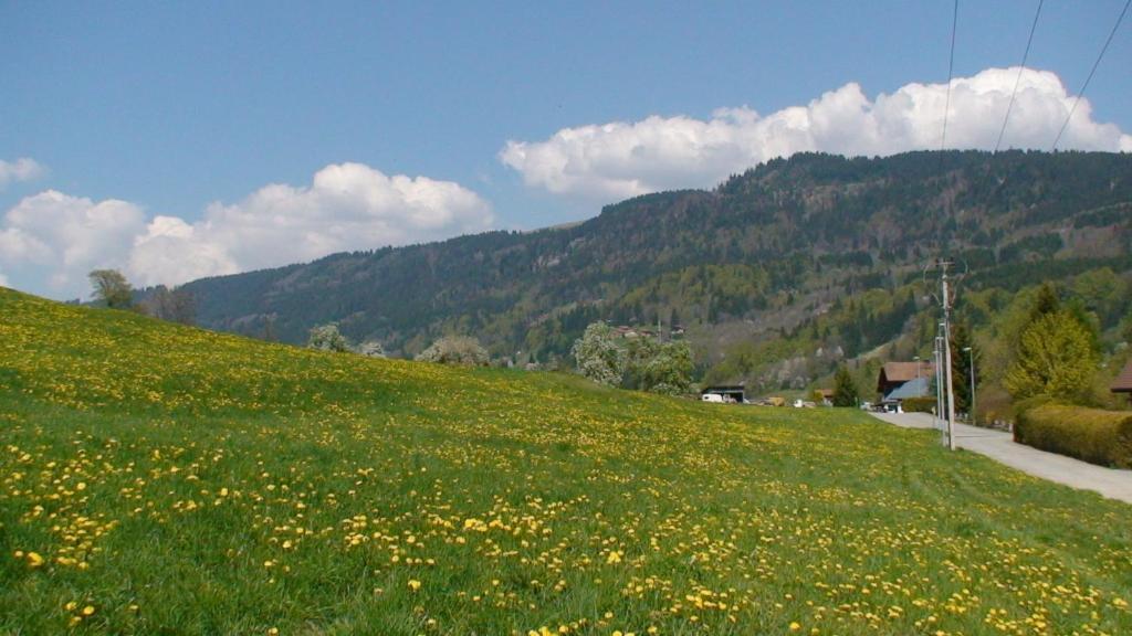 Le Chalet D'Ulysse Arâches Dış mekan fotoğraf